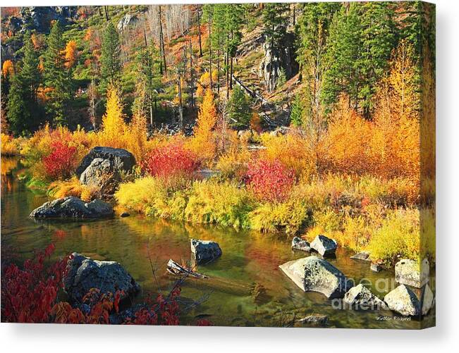 Autumn Canvas Print featuring the photograph Autumn Glory by Winston Rockwell