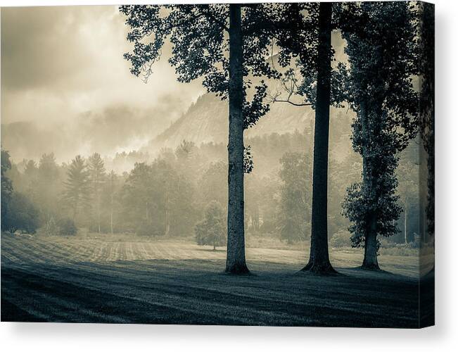 Monochrome Canvas Print featuring the photograph Blue Ridge Mountains NC Lonesome Valley Cashiers Foggy Morning by Robert Stephens