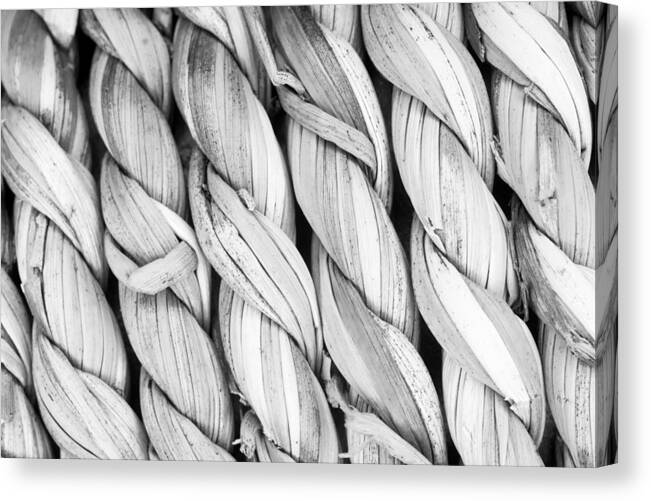 Braid Canvas Print featuring the photograph Bound Together by Steven Santamour