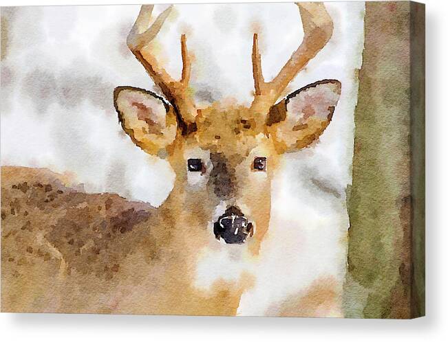 Digital Canvas Print featuring the painting Buck Profile by Steven Santamour