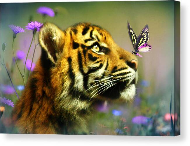 Tiger Cub Canvas Print featuring the photograph Buddy and the Butterfly by Trudi Simmonds