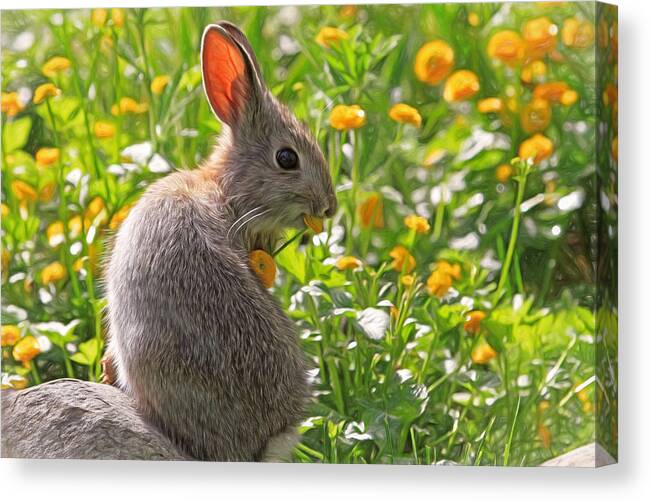 Bunny Canvas Print featuring the photograph Bunny Brunch by Donna Kennedy