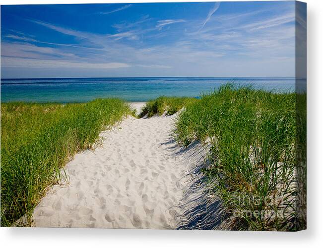 America Canvas Print featuring the photograph Cape Cod Bay by Susan Cole Kelly