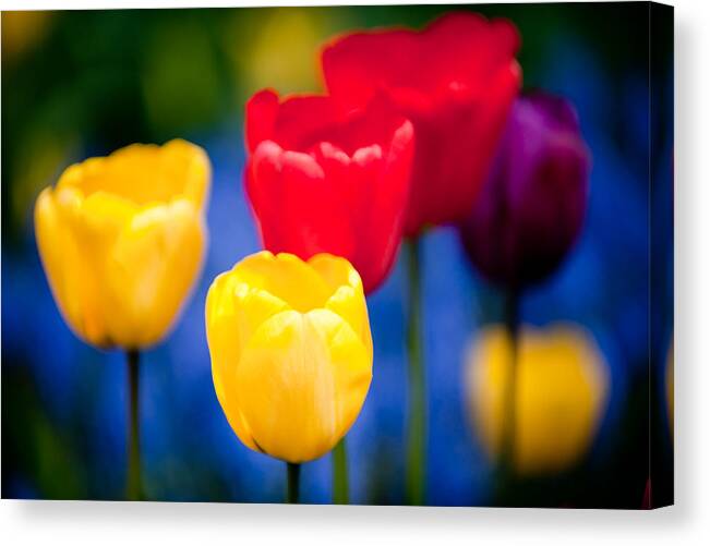 Flower Canvas Print featuring the photograph Colorful L569 by Yoshiki Nakamura