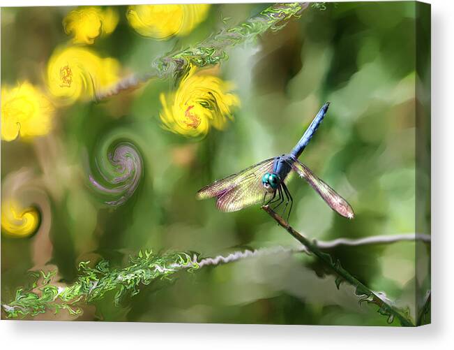 Dragonfly Canvas Print featuring the digital art Dancing with Daiseys by Lisa Redfern