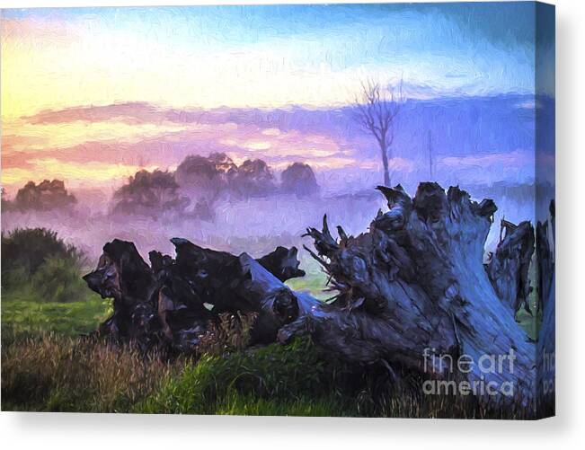 Morning Mist Canvas Print featuring the photograph Dead tree in morning mist by Sheila Smart Fine Art Photography