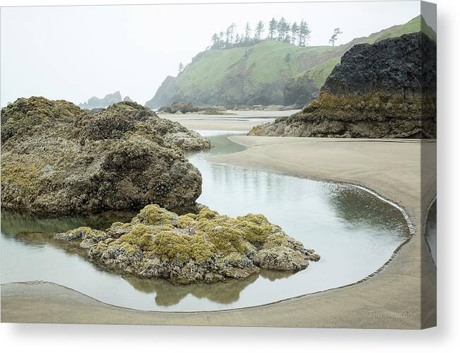 Ecola Canvas Print featuring the photograph Ecola Tidepool by Tim Newton