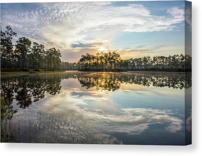 Everglades Canvas Print featuring the photograph Everglades Ovation by Jon Glaser