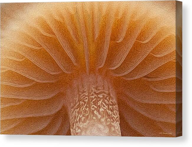 Mushroom Canvas Print featuring the photograph Grand Mushroom by WB Johnston