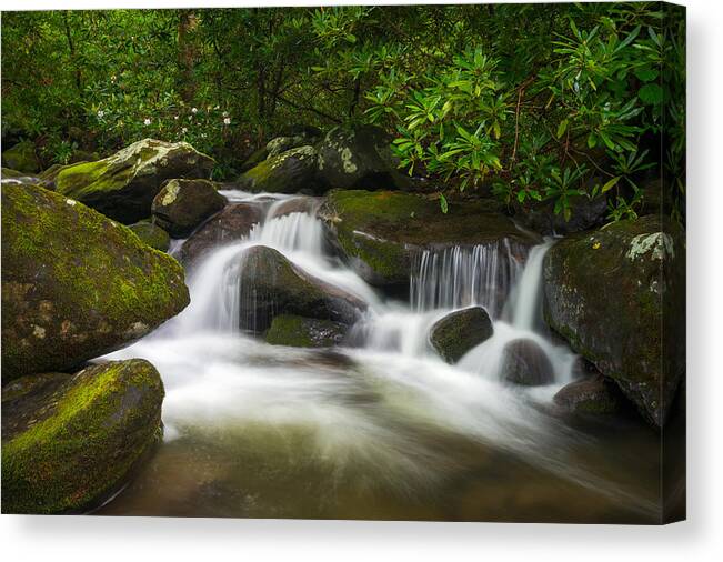 Great Smoky Mountains Canvas Print featuring the photograph Great Smoky Mountains Gatlinburg TN Roaring Fork Waterfall Nature by Dave Allen