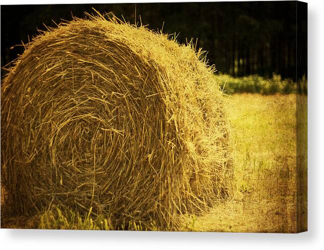 Hay Bale Canvas Print featuring the photograph Harvest Time by Georgia Clare