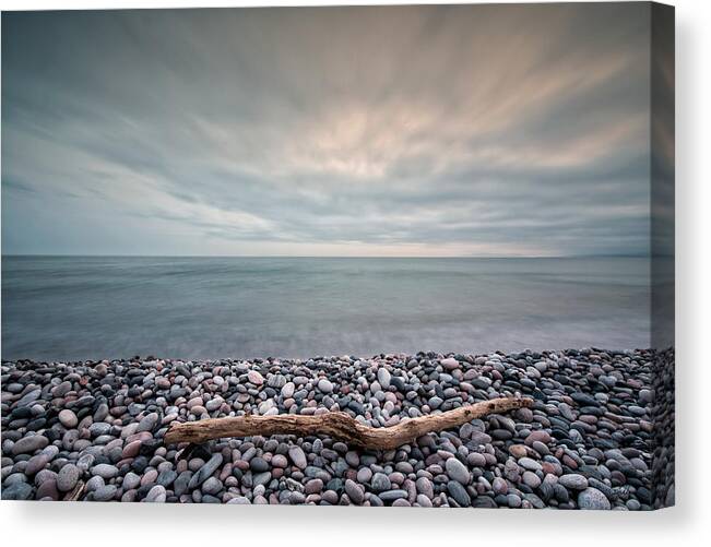 Canada Canvas Print featuring the photograph Loner by Doug Gibbons