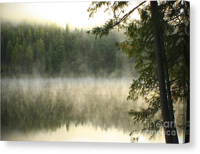Mist Canvas Print featuring the photograph Morning Mists by Idaho Scenic Images Linda Lantzy