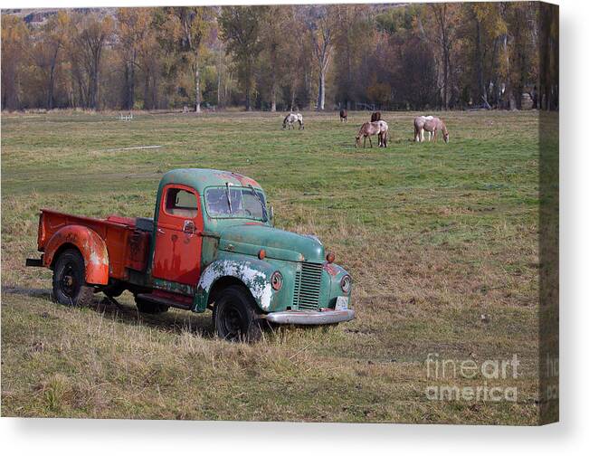 Eastern Oregon Canvas Print featuring the photograph Out to Pasture by Idaho Scenic Images Linda Lantzy