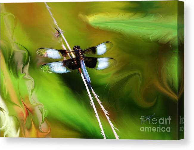 Dragonfly Canvas Print featuring the painting Perched by Lisa Redfern