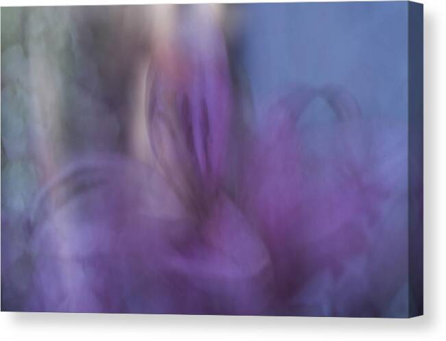 Pink Flowers Canvas Print featuring the photograph Pink Lily in Abstract by Cheryl Day
