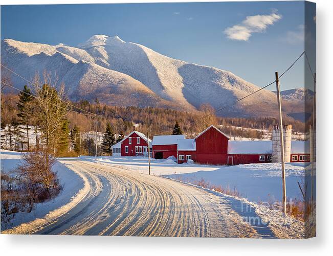 Agriculture Canvas Print featuring the photograph Road to Mount Mansfield by Susan Cole Kelly
