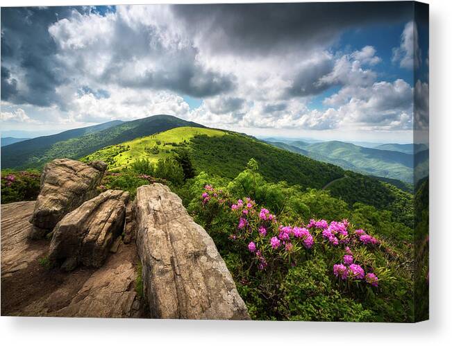 Appalachian Trail Canvas Print featuring the photograph Roan Mountain Radiance Appalachian Trail NC TN Mountains by Dave Allen