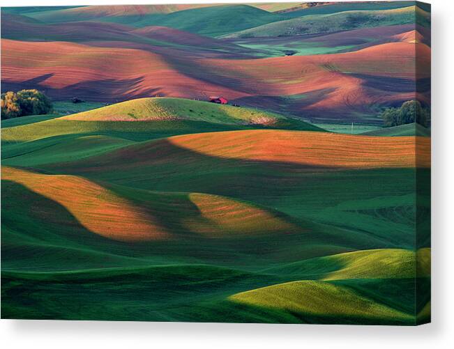 Palouse Canvas Print featuring the photograph Rolling Hills Palouse by Yoshiki Nakamura