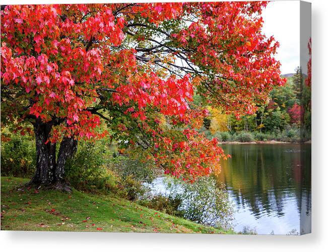 Nh Canvas Print featuring the photograph Shannon Pond by Robert Clifford
