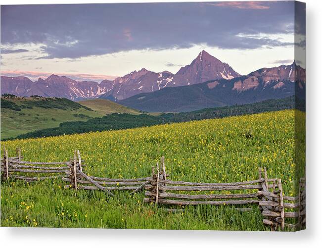 Fence Canvas Print featuring the photograph Sneffels Fence 2 by Whit Richardson