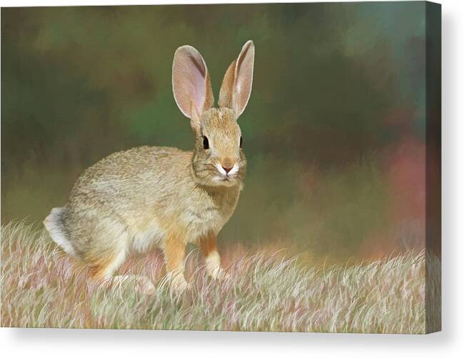 Bunny Canvas Print featuring the photograph Spring Bunny by Donna Kennedy