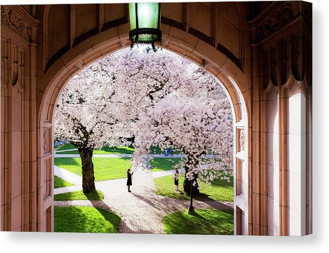 Cherry Blossoms Canvas Print featuring the photograph Spring Has Come by Yoshiki Nakamura