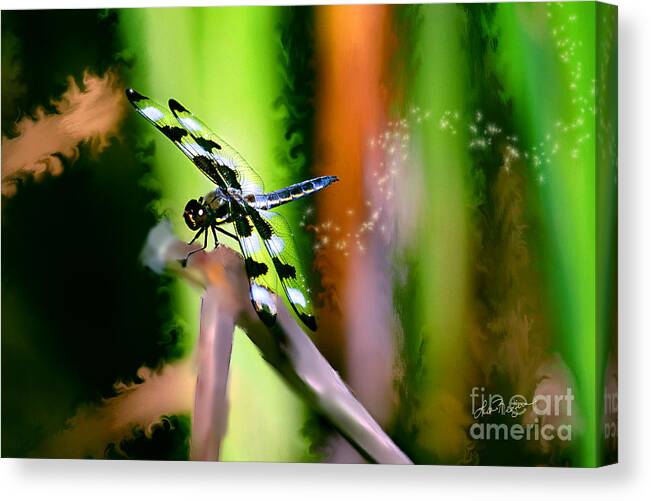 Dragonfly Canvas Print featuring the photograph Striped Dragonfly by Lisa Redfern