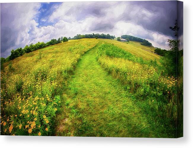 Blue Ridge Canvas Print featuring the painting Summer Hike Through Blue Ridge Flowers AP by Dan Carmichael