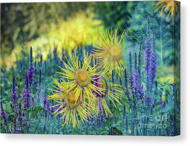 Gouda Canvas Print featuring the photograph Summertime by Casper Cammeraat