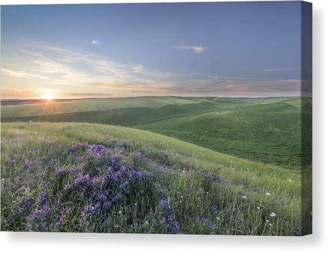 Agriculture Canvas Print featuring the photograph Sunset on the Farm by Jon Glaser