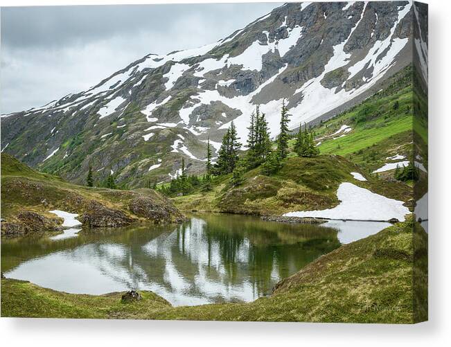 Tarn Canvas Print featuring the photograph Tarns of Nagoon 209 by Tim Newton