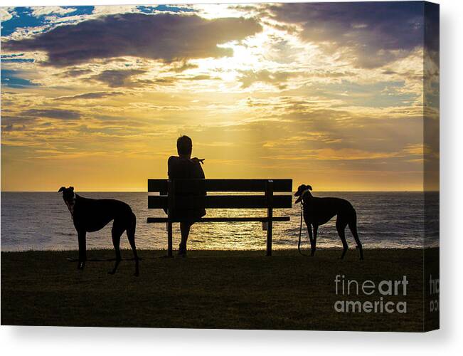 Dogs Canvas Print featuring the photograph The early morning walk by Sheila Smart Fine Art Photography