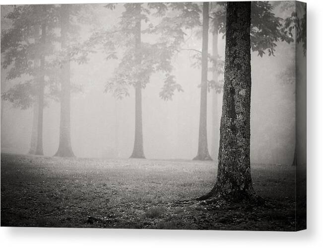 Landscape Canvas Print featuring the photograph Trees in Fog - bw by Joye Ardyn Durham