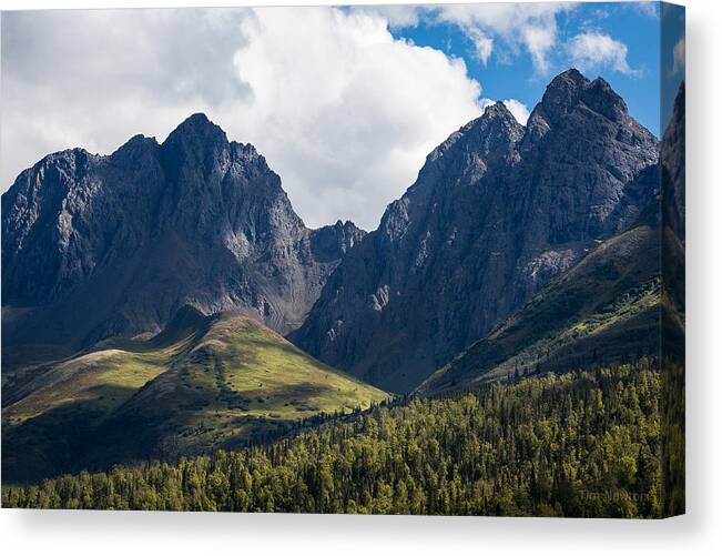 Alaska Canvas Print featuring the photograph Twin Peaks in Mid-Summer by Tim Newton