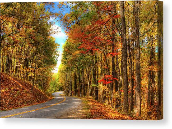 Blue Ridge Canvas Print featuring the photograph Vivid Autumn in the Blue Ridge Mountains by Dan Carmichael