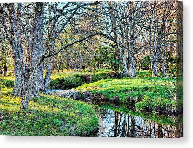 Trees Canvas Print featuring the photograph Winter Artistry by Dan Carmichael