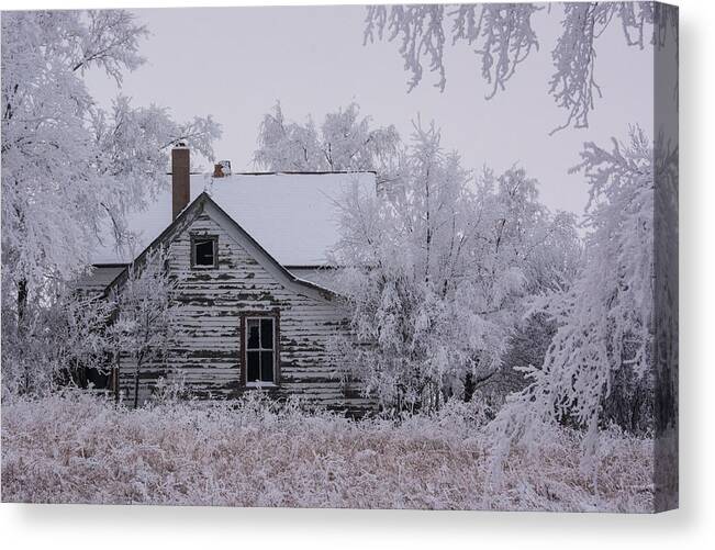 Abandoned Farm House Canvas Print featuring the photograph Winter Farmstead by Jaysen Guthmueller