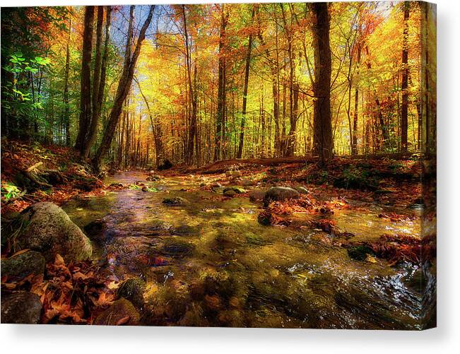 Fall Canvas Print featuring the photograph Wonalancet River by Robert Clifford