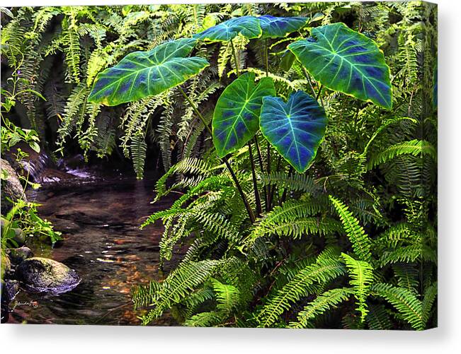 Nature Canvas Print featuring the photograph Tranquility by Gerlinde Keating - Galleria GK Keating Associates Inc