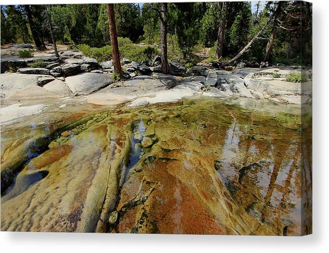 Sierra Canvas Print featuring the photograph Windows To The Soul #2 by Sean Sarsfield