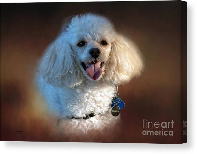Pets Canvas Print featuring the mixed media Charlie by DB Hayes