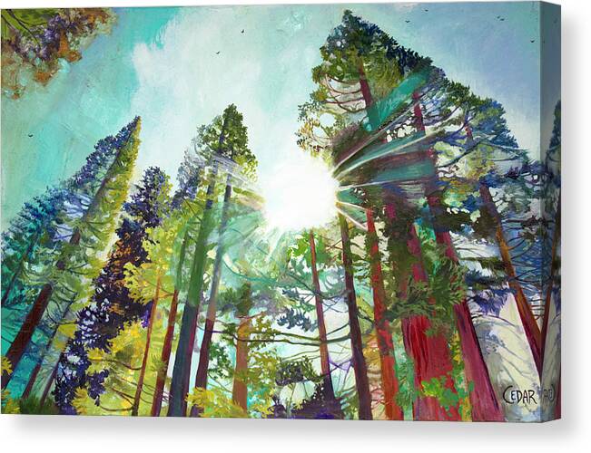 Cedar Lee Canvas Print featuring the painting Dazzling Sky by Cedar Lee