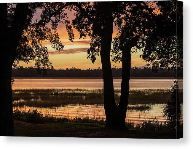 31 Canvas Print featuring the photograph 31 - Gatorland by Jessica Yurinko
