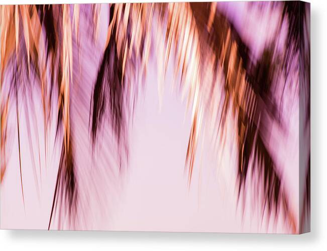 55 Canvas Print featuring the photograph 55 - Gypsy Hair Pink by Jessica Yurinko