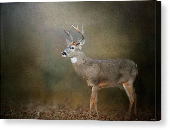 Deer Canvas Print featuring the photograph Leaving Autumn Behind by Jai Johnson