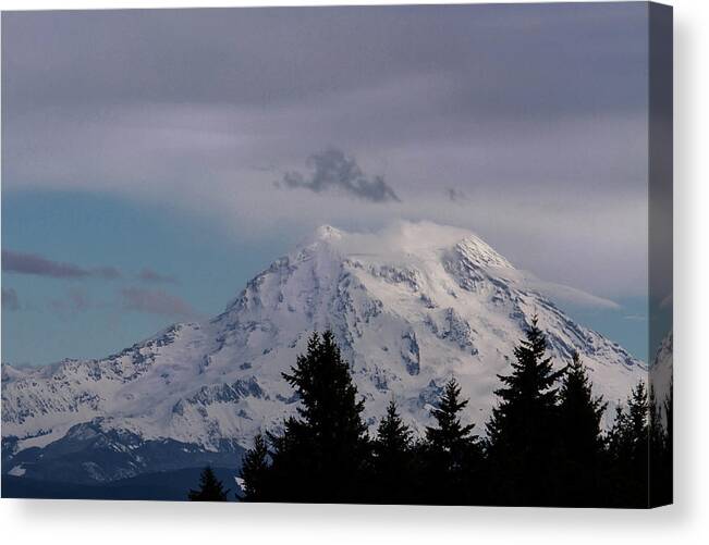 Landscape Canvas Print featuring the photograph Mt Rainier by Cheryl Day