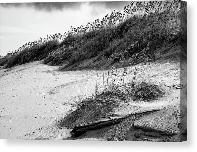 North Carolina Canvas Print featuring the photograph Outer Banks Sea Oats and Dunes by Dan Carmichael