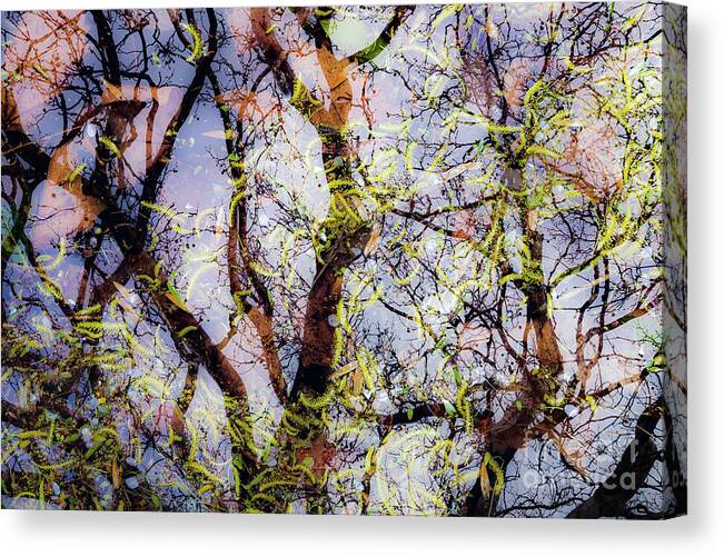 Dubbelopname Canvas Print featuring the photograph Party in the Forest by Casper Cammeraat