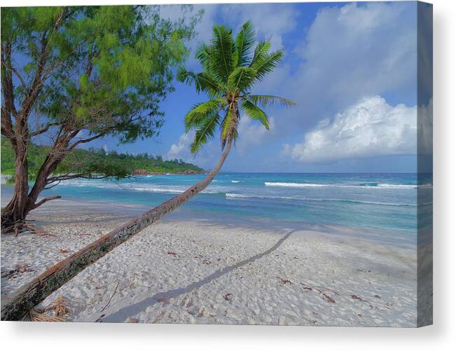 Paradisiac Canvas Print featuring the photograph Seychelles beach by Giovanni Allievi